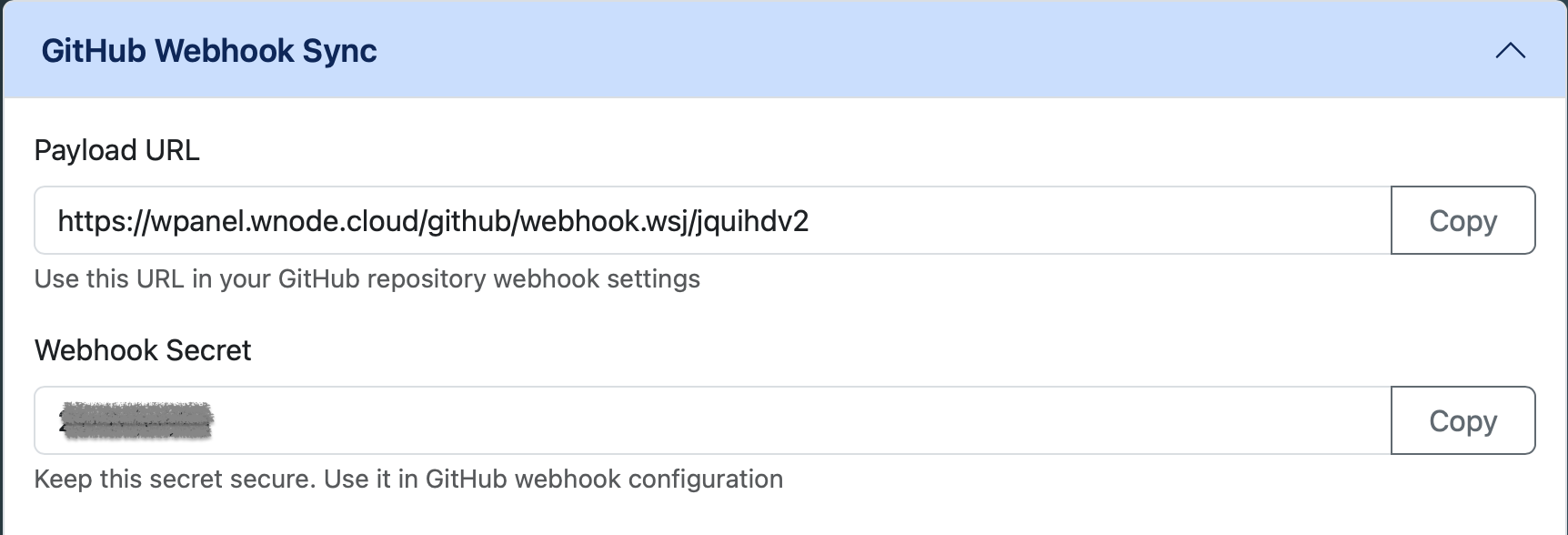 GitHub Webhook Sync settings in wpanel